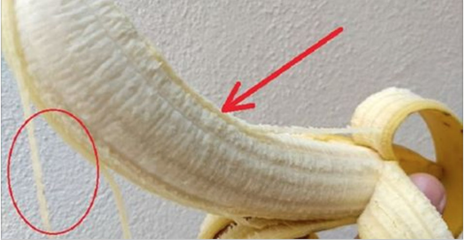 Os segredos dos fios brancos que existem na banana – eles têm uma importante função e podem ser úteis a você!
