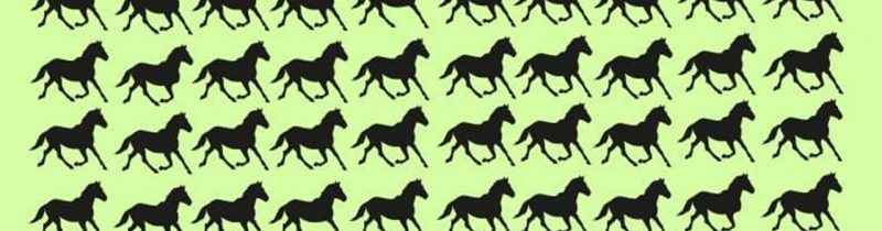 Teste: enigma dos cavalos em 30 segundos