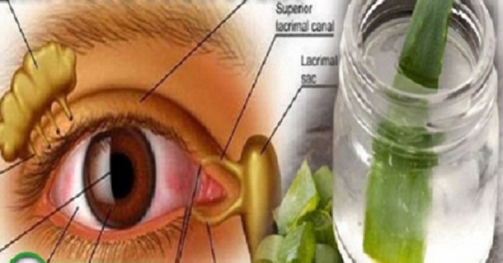 Remédio fortalece visão e evita glaucoma e catarata