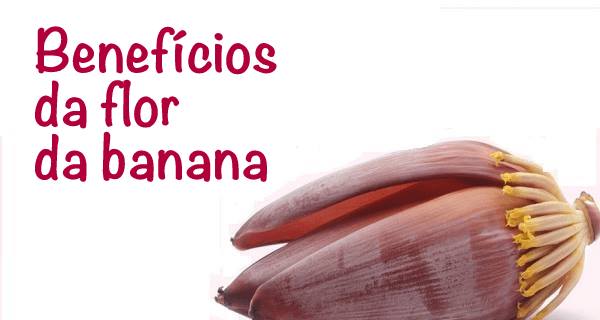 Asma, tosse, anemia, pressão alta… – saiba como aproveitar os incríveis benefícios da flor da banana!