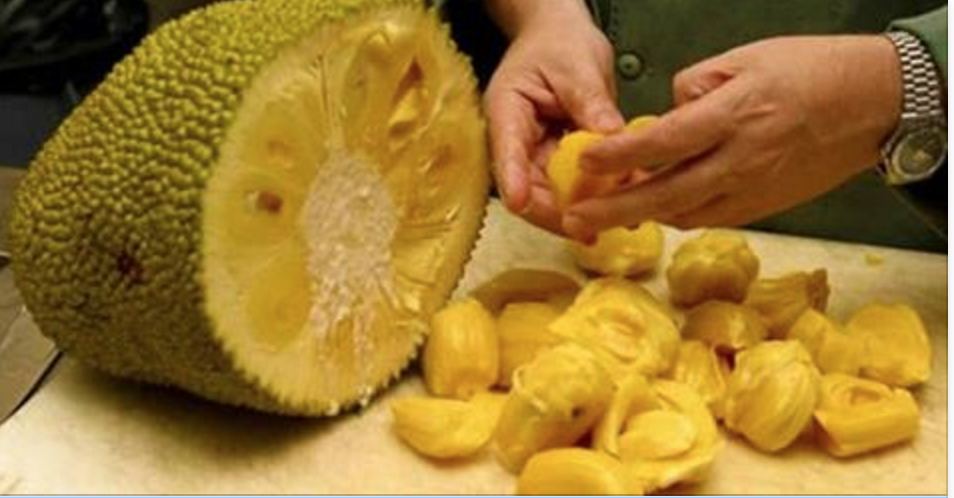 Cientistas revelam mais uma potente fruta anticâncer – a jaca