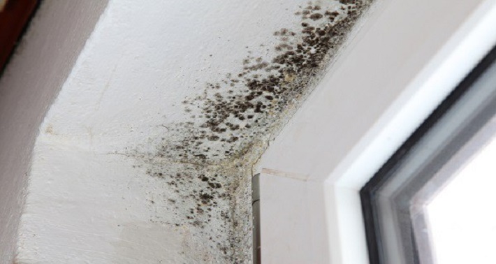 Pulverize isto e você nunca mais vai ver mofo novamente nas paredes de sua casa