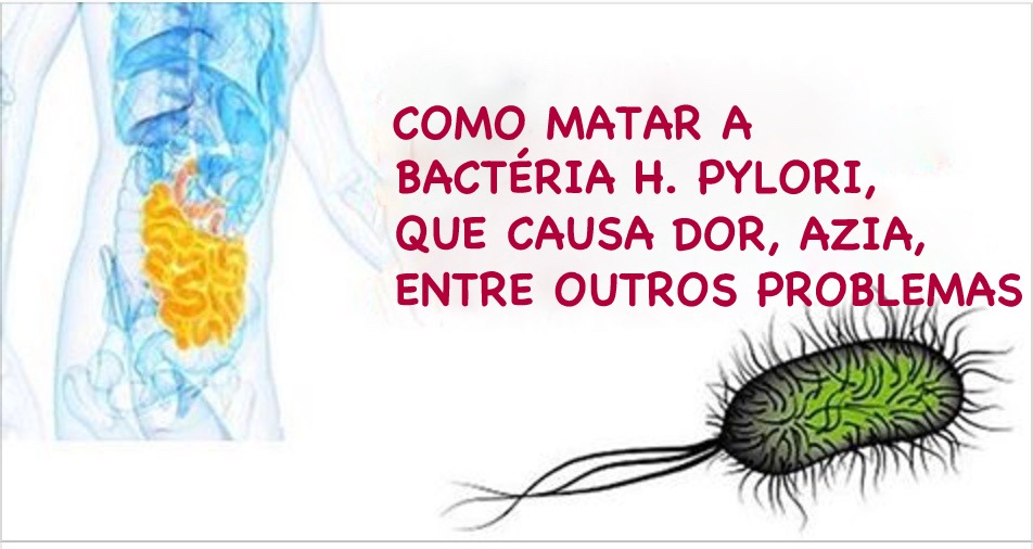 Como destruir a bactéria Helicobacter pylori com remédios caseiros
