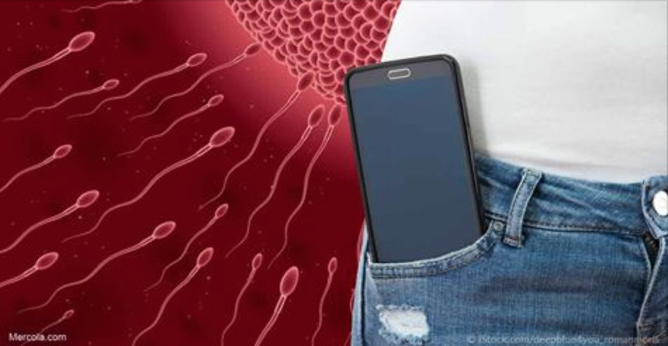Ciência confirma: homens que colocam celular no bolso podem desenvolver este grave problema de saúde!