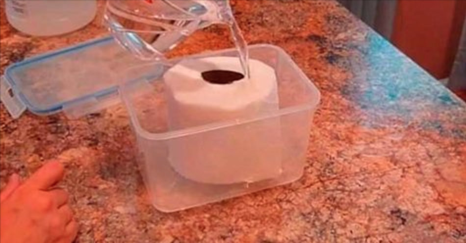 Molhe papel higiênico com vinagre: esta é a solução para muitos dos seus problemas em casa!