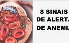 8 sinais de alerta de anemia