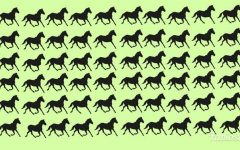 Teste: enigma dos cavalos em 30 segundos