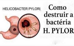 Sinais de infecção pela bactéria Helicobacter pylori – muita gente tem sem saber