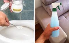 Como Eliminar o Cheiro de Xixi No Sofá, Colchão e Banheiro