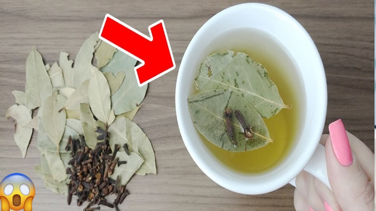 Chá de louro com cravo-da-índia: combate dores na coluna e articulações