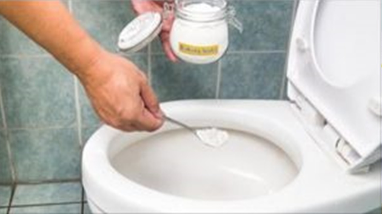 Como limpar vaso sanitário encardido e Eliminar o Cheiro de Xixi No Sofá, Colchão e Banheiro