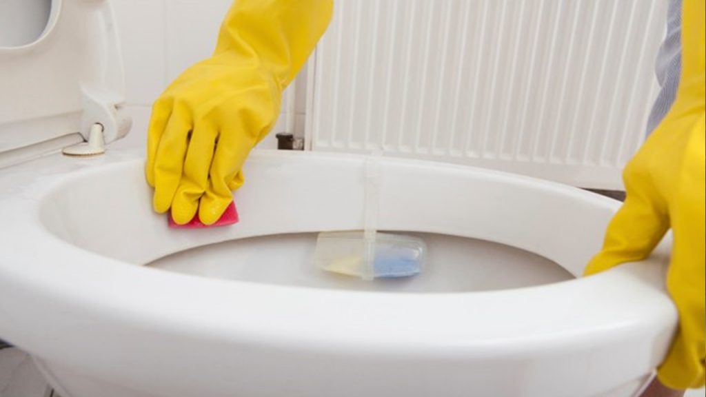 Como deixar seu vaso sanitário brilhando e acabar com o Cheiro de Xixi No Sofá, Colchão e Banheiro