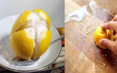 Limão com sal – 2 grandes aliados na limpeza doméstica