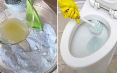 Mistura caseira para limpar o vaso sanitário e a área do banho