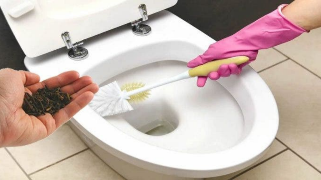 Cheiro de urina no banheiro nunca mais após usar cravo-da-índia