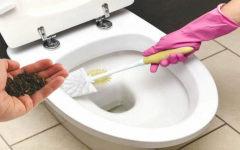 Cheiro de urina no banheiro nunca mais após usar cravo-da-índia