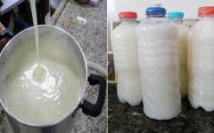 Detergente caseiro de coco: opção mais ecológica, econômica e rende muito
