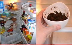 5 dicas naturais e econômicas para eliminar o mau cheiro da geladeira