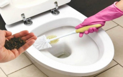 Receita Caseira para remover o Cheiro de urina no banheiro