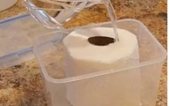 Molhe papel higiênico com vinagre: esta é a solução para muitos dos seus problemas em casa!