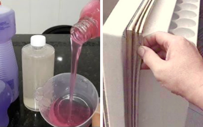 Limpar e Remover o Mofo da Borracha da sua Geladeira