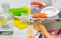 Vinagre na limpeza do banheiro: dicas simples que funcionam