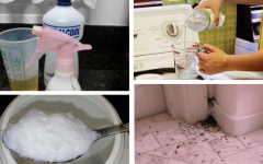 Truques caseiro para eliminar ratos, baratas e formigas de forma rápida e econômica