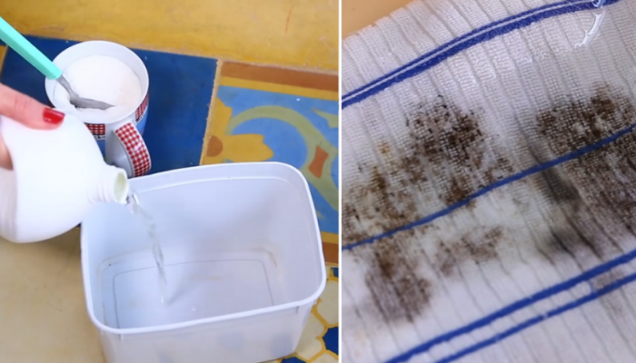 Truque com açúcar remove mancha de mofo mais difícil