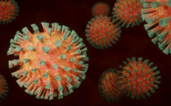 H3N2: o que é, sintomas, prevenção e tratamento da nova gripe