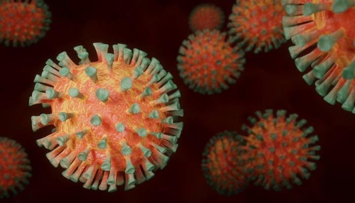 H3N2: o que é, sintomas, prevenção e tratamento da nova gripe 