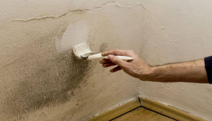 Solução caseira umidade das paredes da casa