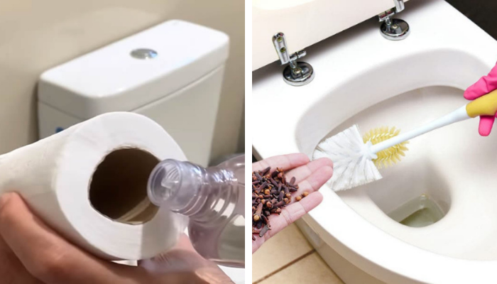 Elimine Odor Forte de Urina Do Banheiro E Da Casa