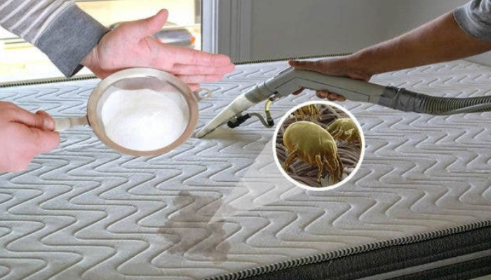 Como limpar colchão e travesseiro para ficar livre dos ácaros, dormir bem e cuidar da saúde