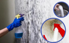 Remédios caseiros para acabar com mofo das paredes