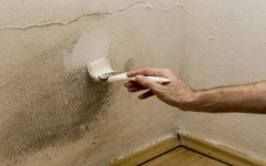 Como tirar a umidade das paredes (e evitar que volte)