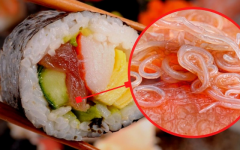 Verme ou sushi? Sim é possível e mais comum do que você imagina