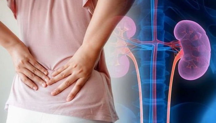 Bebidas caseiras para limpar os rins e controlar o excesso de açúcar no sangue