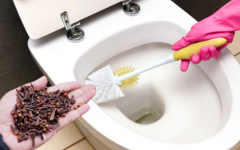 Como Eliminar o Odor Forte de Urina Do Banheiro E Da Casa