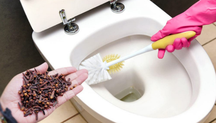 Banheiro: Como Eliminar o Odor Forte de Urina 