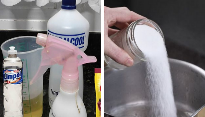 Elimine pulgas, formigas, baratas, traça e cupins com receitas naturais