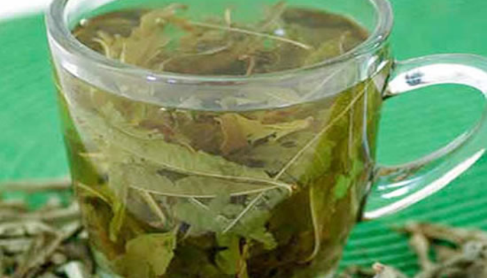 Guia natural acaba com gases intestinais inchaço e arroto