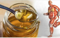 Se você consumir este remédio milagroso de mel e alho todos os dias, estas 9 coisas vão acontecer no seu corpo