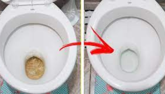 Elimine a sujeira no seu vaso sanitário