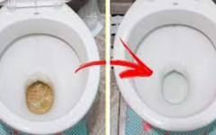 Conheça o ingrediente que elimina a sujeira no seu vaso sanitário