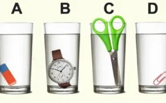 Desafio cerebral: identifique qual copo está mais cheio, só os inteligentes conseguem