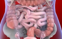 Tumores no intestino pode ser diagnosticado precocemente