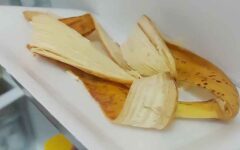 Coloque casca de banana na geladeira: depois de 15 minutos você não vai acreditar no que acontece