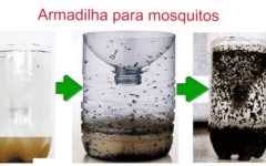 Como fazer uma armadilha para mosquitos