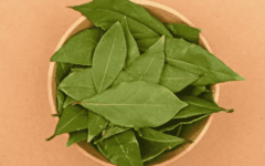 7 benefícios inigualáveis da queima das folhas de louro para sua vida: você precisa ficar sabendo
